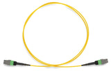 MTP® OS2 Single-Mode 12 Fibers Trunk Cable Type A AllCables4U