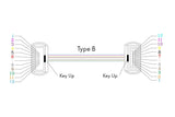 MPO OM4 Multi-Mode 12 Fibers Trunk Cable Type B AllCables4U