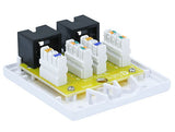 2-Port Cat6 Surface Mount Box AllCables4U
