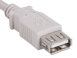Beige Color USB 2.0 A Male to A Female Extension Cable AllCables4U