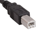 Black Color USB 2.0 A Male to B Male Cable AllCables4U