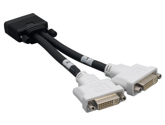DMS-59 Male to 2 ╳ DVI-I Female Dual Link Splitter Cable AllCables4U