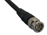 Premium BNC Male to BNC Male Composite Video Cable AllCables4U